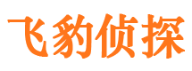 禄劝市私家侦探